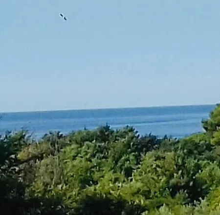 Lejlighed Ivana,mali Maj Poreč