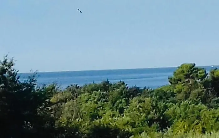 Appartamento Ivana,mali Maj Porec